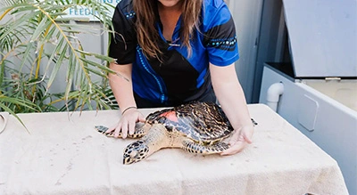 https://paradoxagency.com.au/wp-content/uploads/2025/04/case-ccws-5.webp