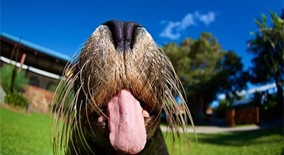 https://paradoxagency.com.au/wp-content/uploads/2025/04/case-ccws-8.webp