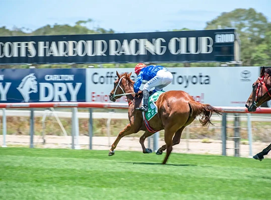https://paradoxagency.com.au/wp-content/uploads/2025/04/case-coffsracing-4.webp