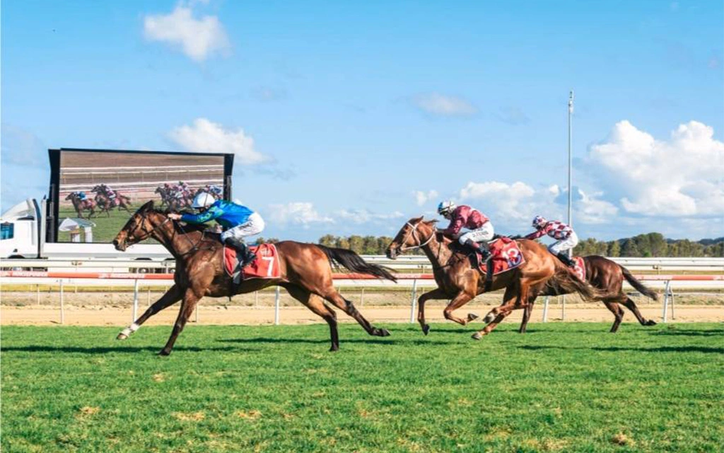 https://paradoxagency.com.au/wp-content/uploads/2025/04/case-coffsracing-6.webp