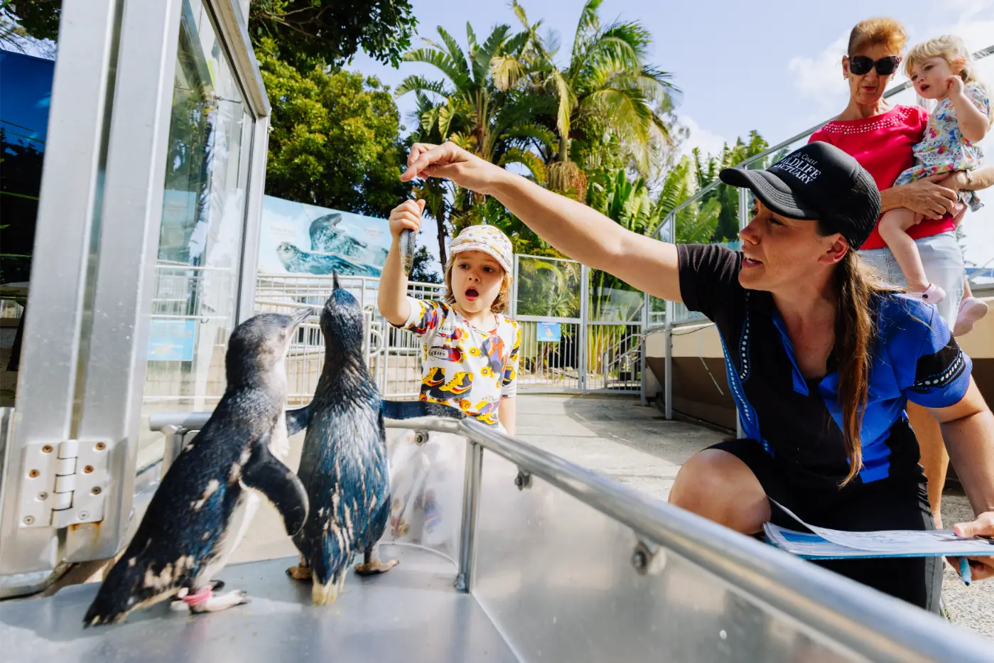https://paradoxagency.com.au/wp-content/uploads/2025/04/meet-the-penguin-header.webp